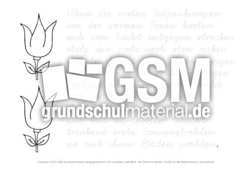 Tulpe-Abschreibtexte-nachspuren-VA 4.pdf